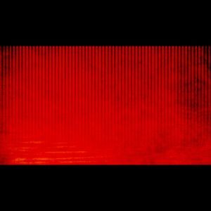 Meet your Posher, Tim